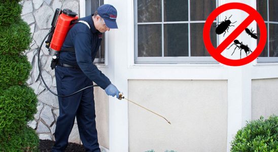 Bağcılar Bit İlaçlama böcek ilaçlama ve haşere kontrolü — ilaclama-tr.com